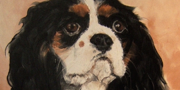 CAVALIER KING CHARLES . huile couteau
