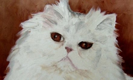 CHAT BLANC . huile couteau