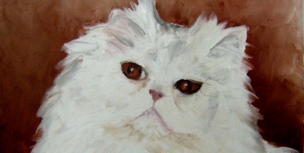 CHAT BLANC . huile couteau