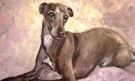 DALI . huile couteau