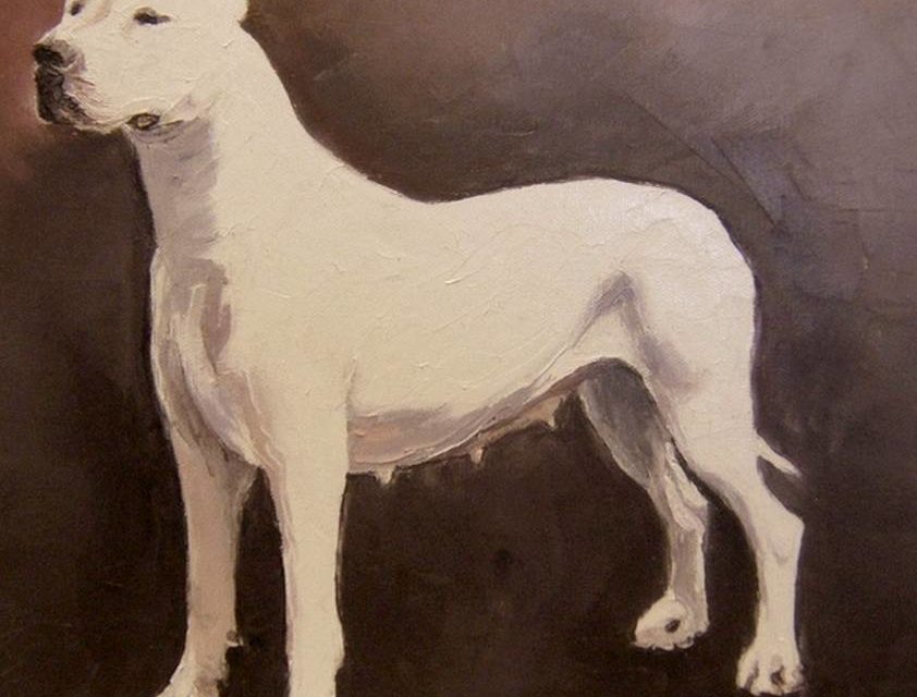 DOGUE ARGENTIN (peinture)