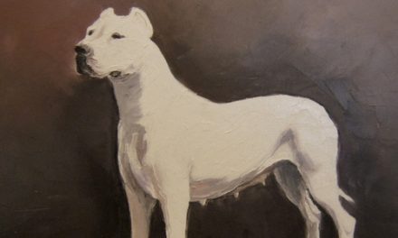 DOGUE ARGENTIN . huile couteau