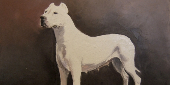 DOGUE ARGENTIN . huile couteau