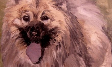 EURASIER . huile couteau