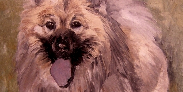 EURASIER . huile couteau