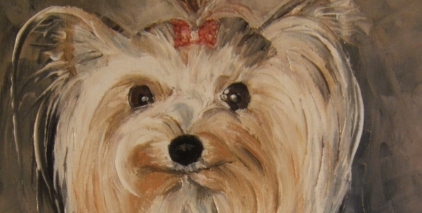 FANZY . huile couteau