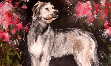 IRISH WOLFHOUND . huile couteau