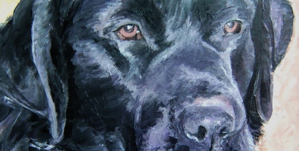 LABRADOR . huile couteau