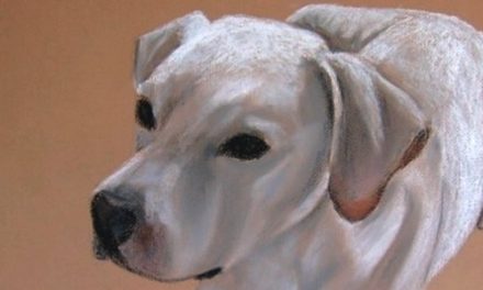LABRADOR . pastel