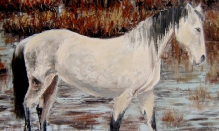 LANCELOT . huile couteau