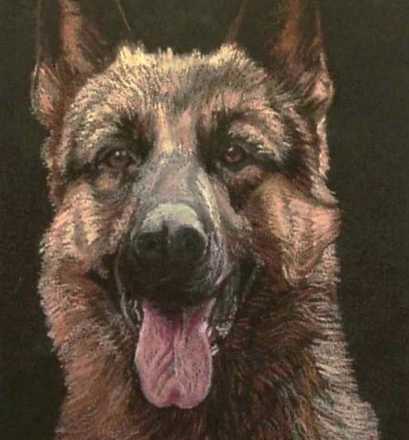 Concours LIONS CLUB . Nice (dessin . chien)