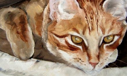 LOULOU . huile couteau