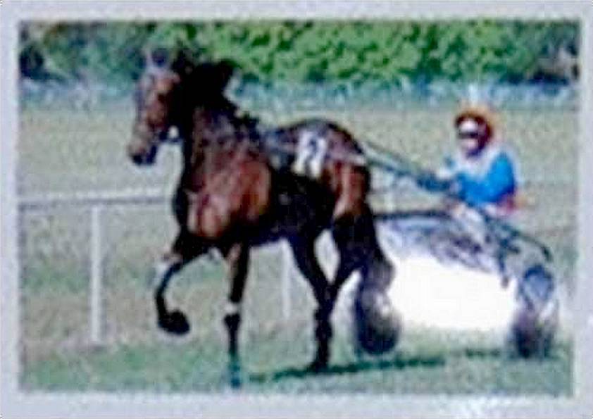 LURABELLE DES LACS . trotteur (original)