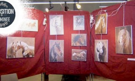 Expo MEYZIEU . 16ème Edition