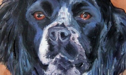 NEIGE . huile couteau