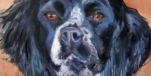 NEIGE . huile couteau