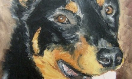 OXIA . huile couteau