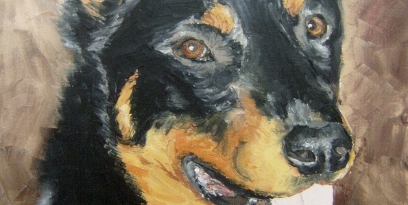 OXIA . huile couteau