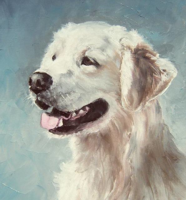 POPPY . golden retriever (peinture)