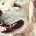 POPPY . huile couteau