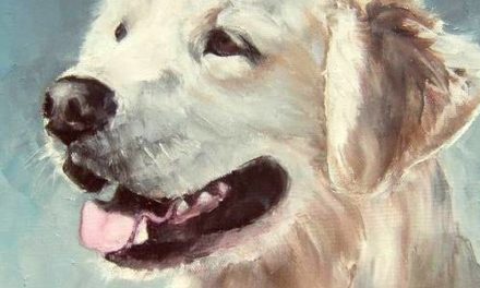 POPPY . huile couteau