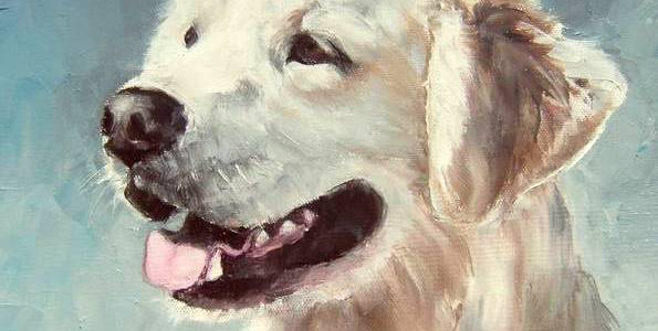 POPPY . huile couteau