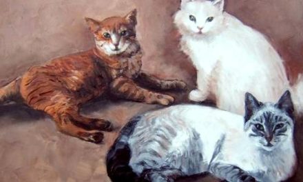 POUFFY, TIGROU, MOUNETTE . huile couteau