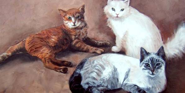 POUFFY, TIGROU, MOUNETTE . huile couteau