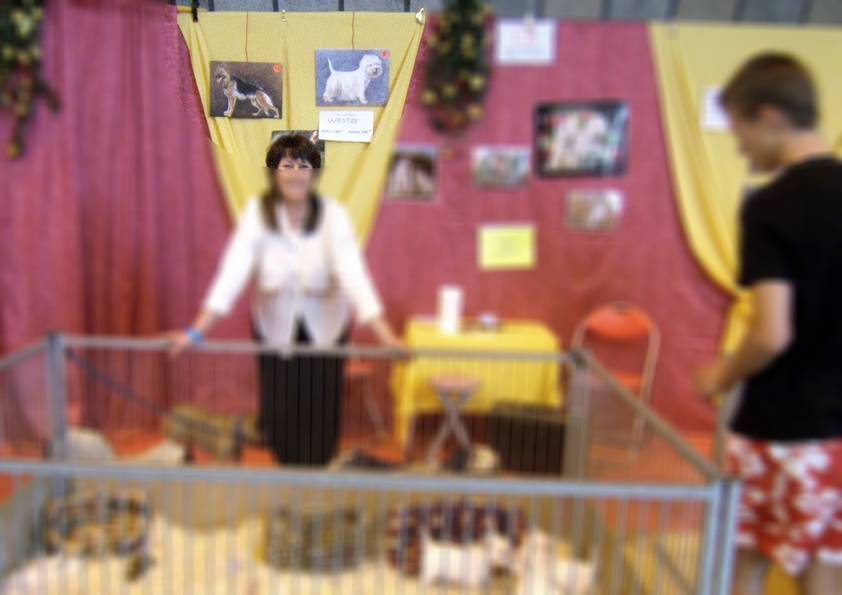 QUIZ peinture stand éleveurs