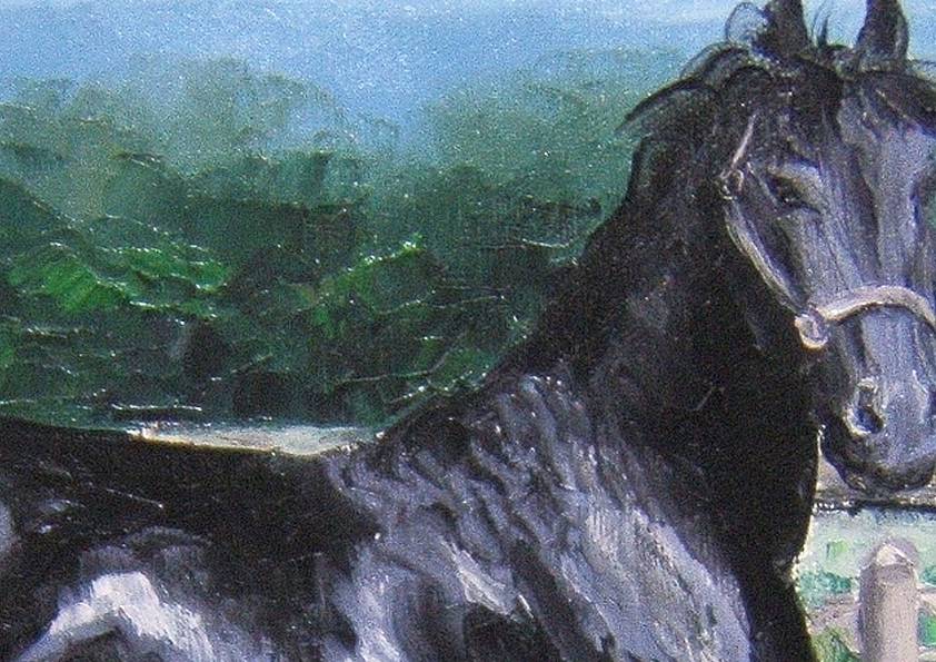 REISTE . Frison noir (détail)