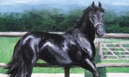 REISTE . huile couteau