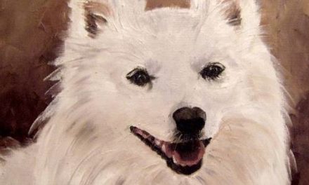 ROCKY . huile couteau