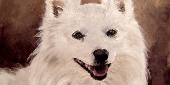 ROCKY . huile couteau