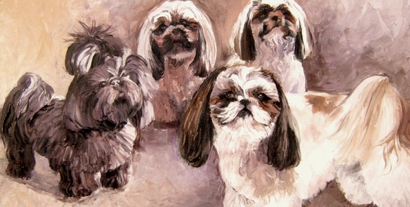 SHIHTZUS . huile couteau