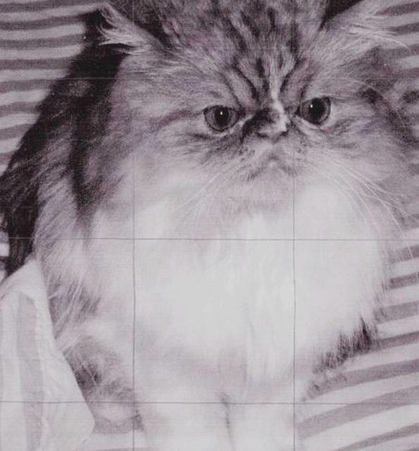 SWING . Persan roux (original)