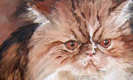 SWING . huile couteau