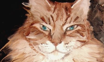 SYMBA . huile couteau