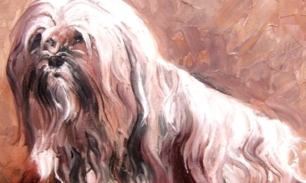 TERRIER DU TIBET . huile couteau