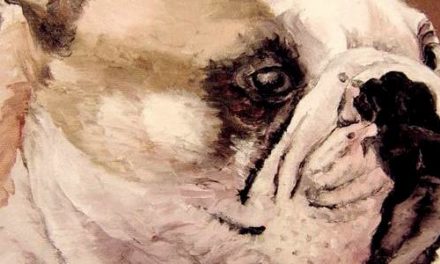 THEO D&rsquo;OR . huile couteau