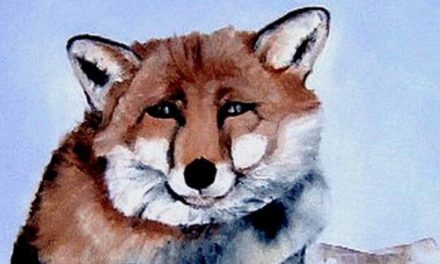 TITUS . huile couteau