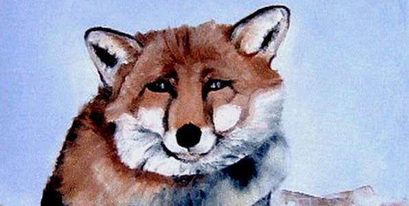 TITUS . huile couteau