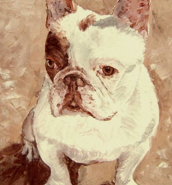 TOMMY . Bouledogue français (peinture)