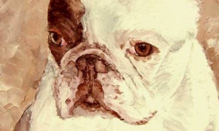 TOMMY . huile couteau