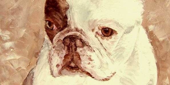 TOMMY . huile couteau