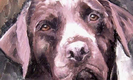 URFEE . huile couteau