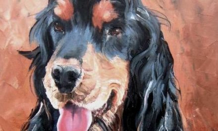 VIPPER . huile couteau