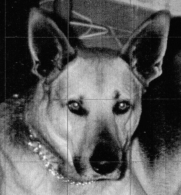 YAGO . berger allemand (original)