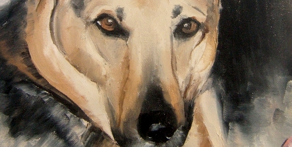 YAGO . huile couteau