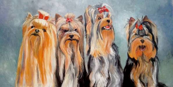 LES 4 YORKS . huile couteau