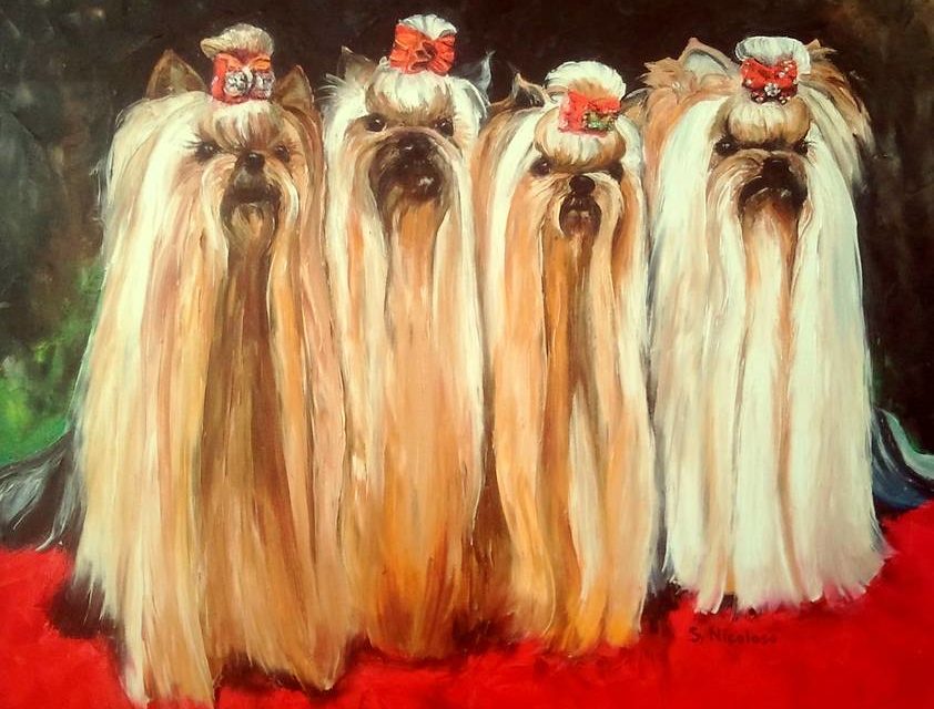 LES 4 YORKS (peinture)